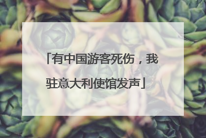 有中国游客死伤，我驻意大利使馆发声