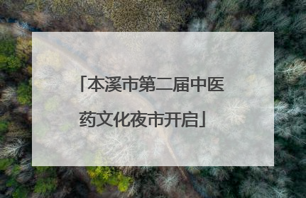 本溪市第二届中医药文化夜市开启