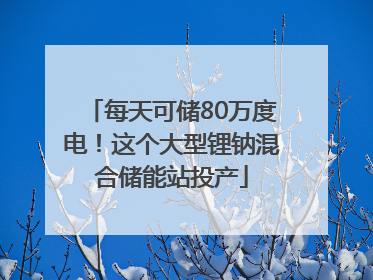 每天可储80万度电！这个大型锂钠混合储能站投产