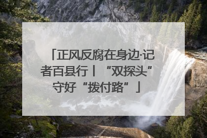 正风反腐在身边·记者百县行丨“双探头”守好“拨付路”
