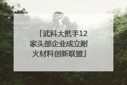 武科大携手12家头部企业成立耐火材料创新联盟