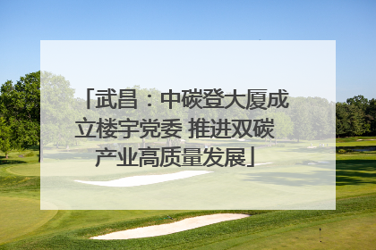 武昌：中碳登大厦成立楼宇党委 推进双碳产业高质量发展
