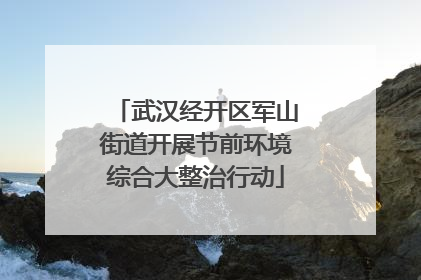 武汉经开区军山街道开展节前环境综合大整治行动