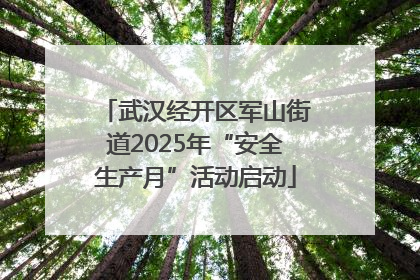武汉经开区军山街道2025年“安全生产月”活动启动
