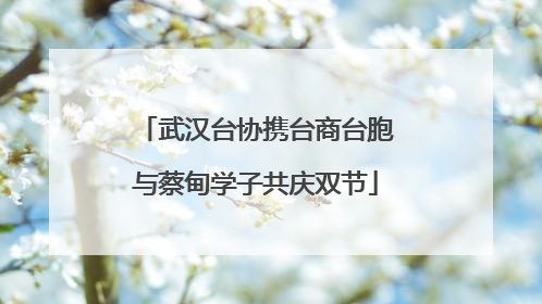 武汉台协携台商台胞与蔡甸学子共庆双节