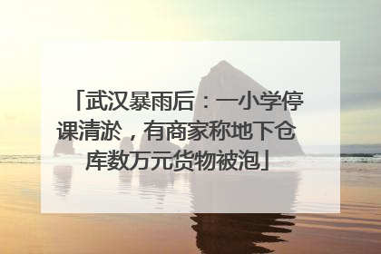 武汉暴雨后：一小学停课清淤，有商家称地下仓库数万元货物被泡