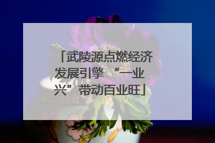 武陵源点燃经济发展引擎 “一业兴”带动百业旺