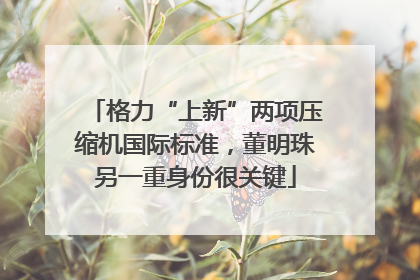 格力“上新”两项压缩机国际标准，董明珠另一重身份很关键