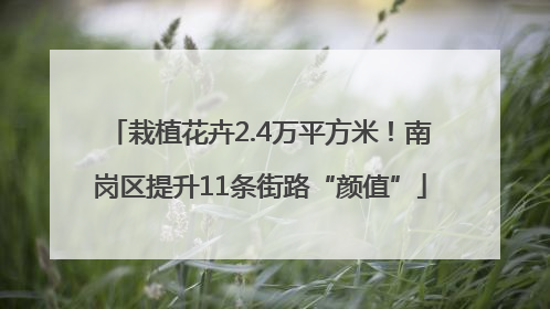 栽植花卉2.4万平方米！南岗区提升11条街路“颜值”