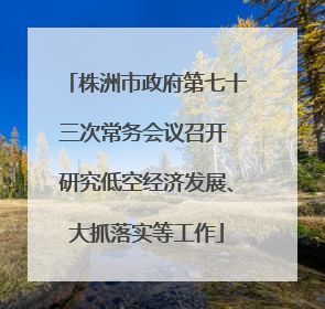 株洲市政府第七十三次常务会议召开 研究低空经济发展、大抓落实等工作