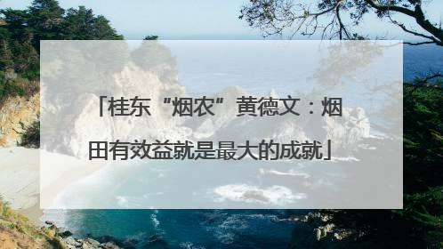 桂东“烟农”黄德文：烟田有效益就是最大的成就