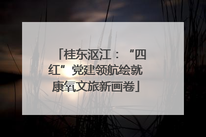 桂东沤江：“四红”党建领航绘就康氧文旅新画卷