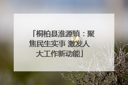桐柏县淮源镇：聚焦民生实事 激发人大工作新动能