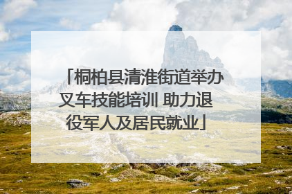 桐柏县清淮街道举办叉车技能培训 助力退役军人及居民就业