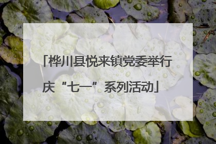 桦川县悦来镇党委举行庆“七一”系列活动