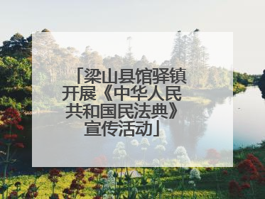 梁山县馆驿镇开展《中华人民共和国民法典》宣传活动