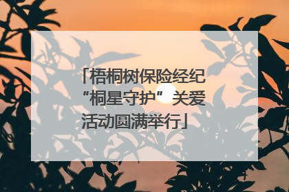 梧桐树保险经纪“桐星守护”关爱活动圆满举行