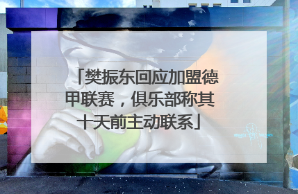 樊振东回应加盟德甲联赛，俱乐部称其十天前主动联系