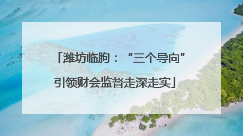 潍坊临朐：“三个导向”引领财会监督走深走实