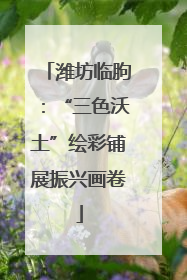 潍坊临朐：“三色沃土”绘彩铺展振兴画卷
