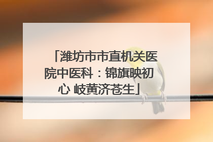 潍坊市市直机关医院中医科：锦旗映初心 岐黄济苍生