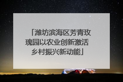 潍坊滨海区芳青玫瑰园以农业创新激活乡村振兴新动能