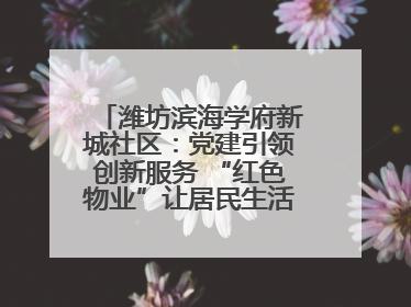 潍坊滨海学府新城社区：党建引领创新服务 “红色物业”让居民生活“幸福满格”