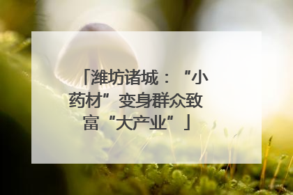 潍坊诸城：“小药材”变身群众致富“大产业”