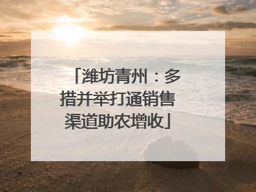 潍坊青州：多措并举打通销售渠道助农增收
