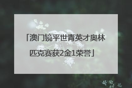 澳门镜平世青英才奥林匹克赛获2金1荣誉