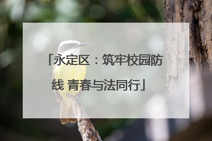 永定区：筑牢校园防线 青春与法同行