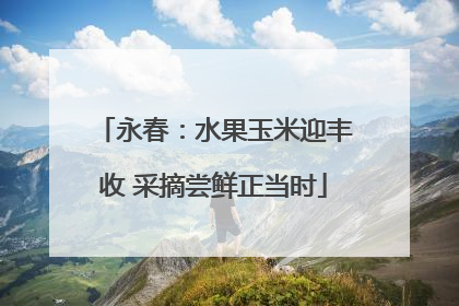 永春：水果玉米迎丰收 采摘尝鲜正当时