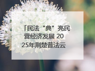 民法“典”亮民营经济发展 2025年荆楚普法云课堂第二期在武汉客厅开讲