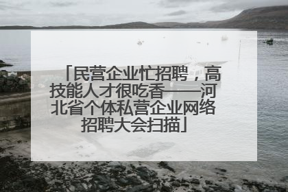 民营企业忙招聘，高技能人才很吃香——河北省个体私营企业网络招聘大会扫描
