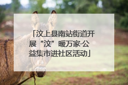 汶上县南站街道开展“汶”暖万家·公益集市进社区活动