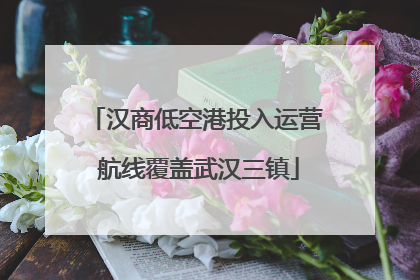汉商低空港投入运营 航线覆盖武汉三镇