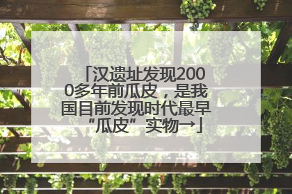 汉遗址发现2000多年前瓜皮，是我国目前发现时代最早“瓜皮”实物→