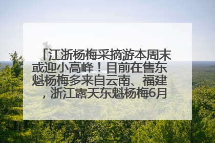 江浙杨梅采摘游本周末或迎小高峰！目前在售东魁杨梅多来自云南、福建，浙江露天东魁杨梅6月中旬大量上市