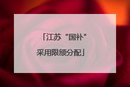 江苏“国补”采用限额分配