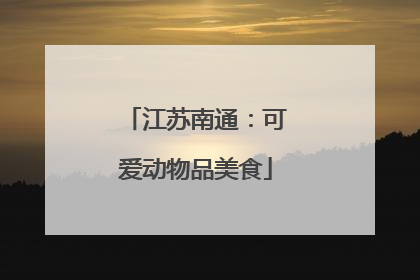 江苏南通：可爱动物品美食