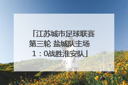 江苏城市足球联赛第三轮 盐城队主场1：0战胜淮安队