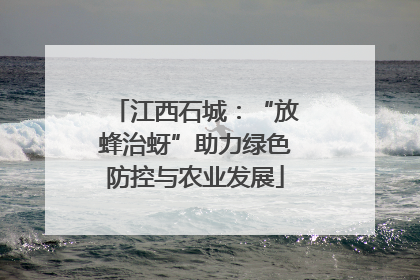 江西石城：“放蜂治蚜”助力绿色防控与农业发展
