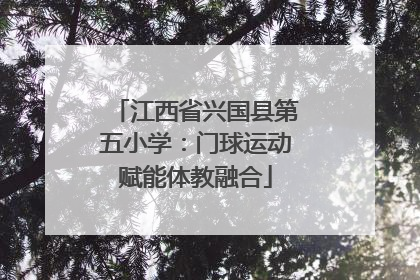 江西省兴国县第五小学：门球运动赋能体教融合
