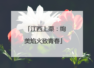 江西上栗：绚美焰火致青春