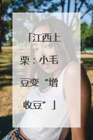 江西上栗：小毛豆变“增收豆”