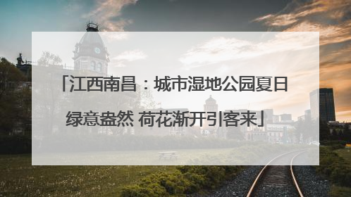 江西南昌：城市湿地公园夏日绿意盎然 荷花渐开引客来
