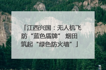 江西兴国：无人机飞防“蓝色盾牌” 烟田筑起“绿色防火墙”