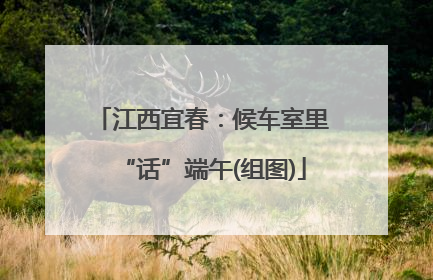 江西宜春：候车室里“话”端午(组图)