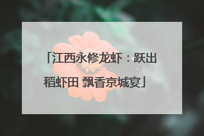 江西永修龙虾：跃出稻虾田 飘香京城宴