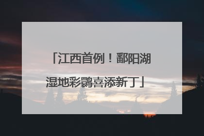 江西首例！鄱阳湖湿地彩鹮喜添新丁